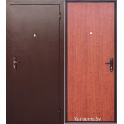 Дверь входная Модель 5